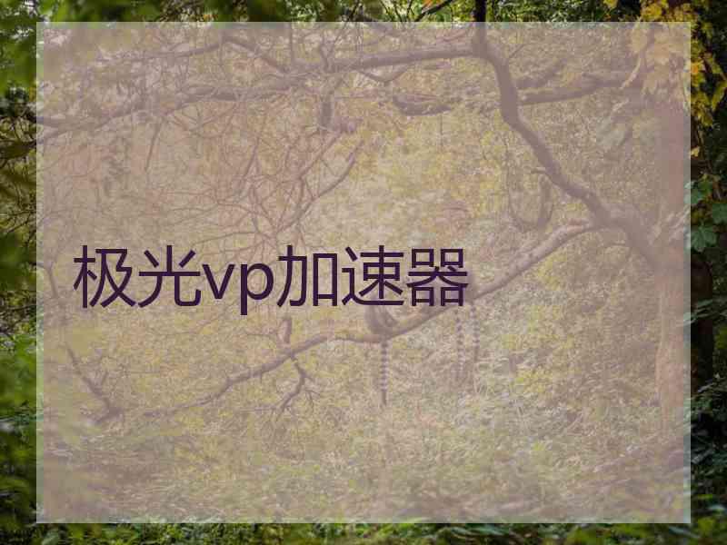极光vp加速器