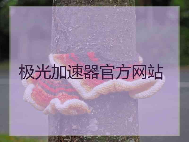 极光加速器官方网站